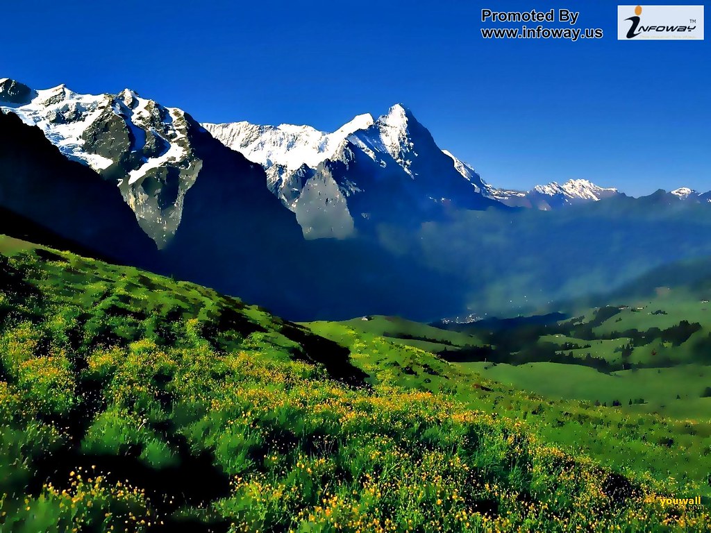 Wonderful Amazing Relaxing Green Nature Backgrounds - Windows 7 - HD Wallpaper 