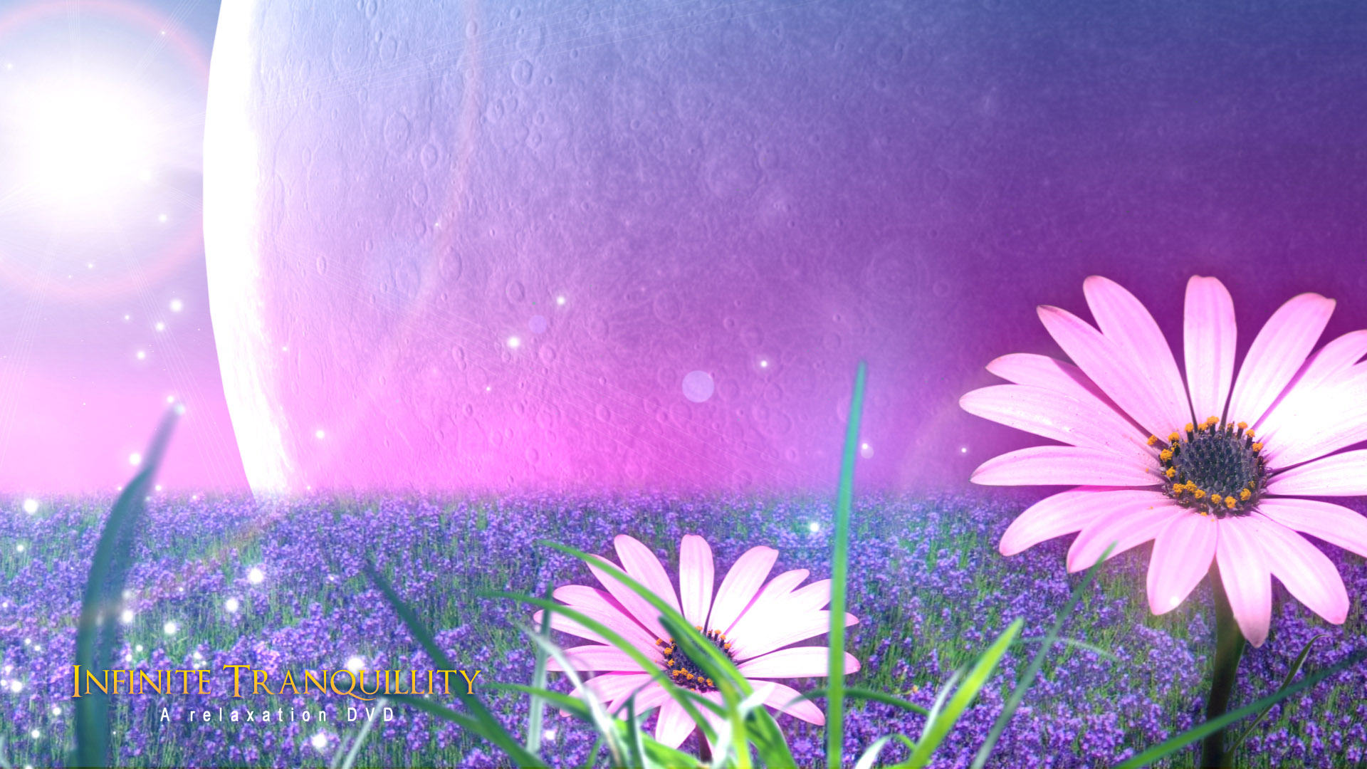 Flower Full Hd Image Background - HD Wallpaper 