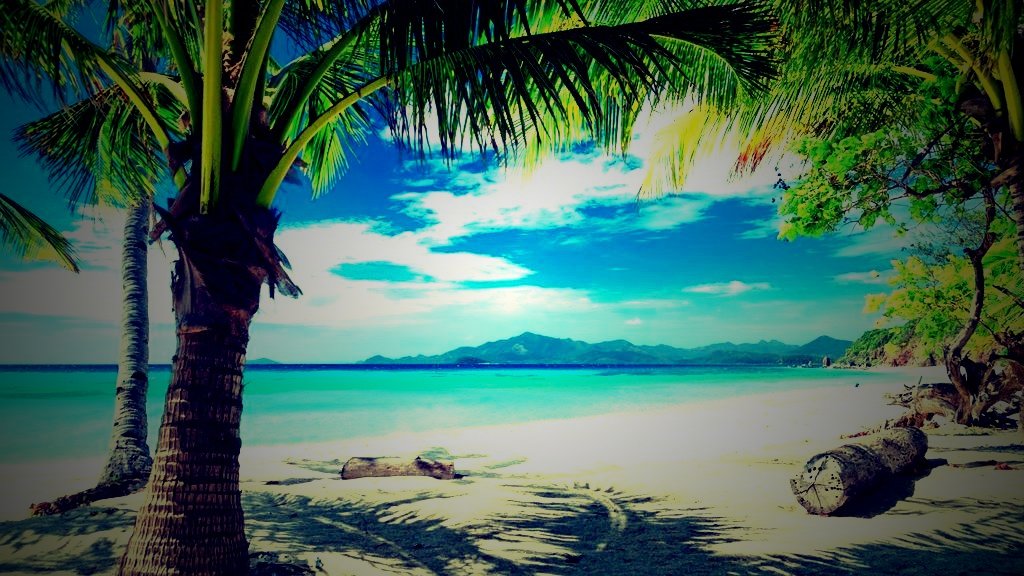 Exotic Beach Day In Jamaica Lomo Hd Wallpaper - Beach Ocean Palm Trees - HD Wallpaper 