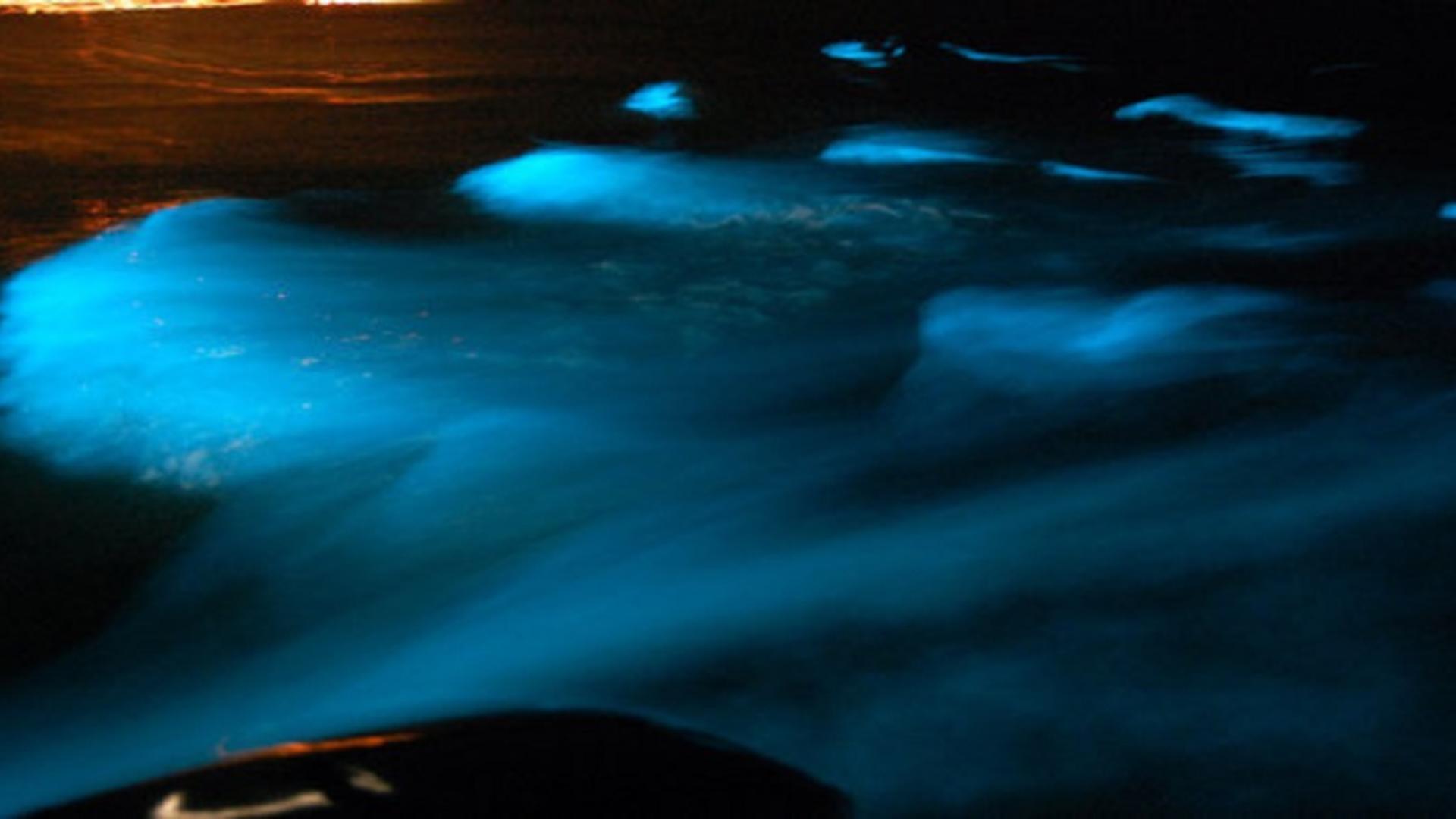 Luminous Lagoon - Glistening Waters Jamaica - HD Wallpaper 