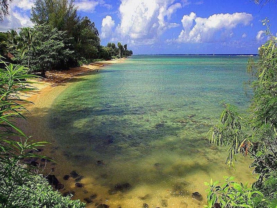 Good Morning Images Of Nature - HD Wallpaper 