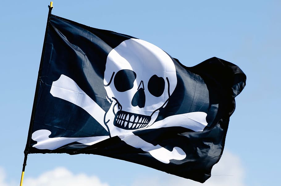 Close-up Photo Of Pirate Flag, Pole, Isolated, Human - Bandera De Piratas Del Caribe - HD Wallpaper 