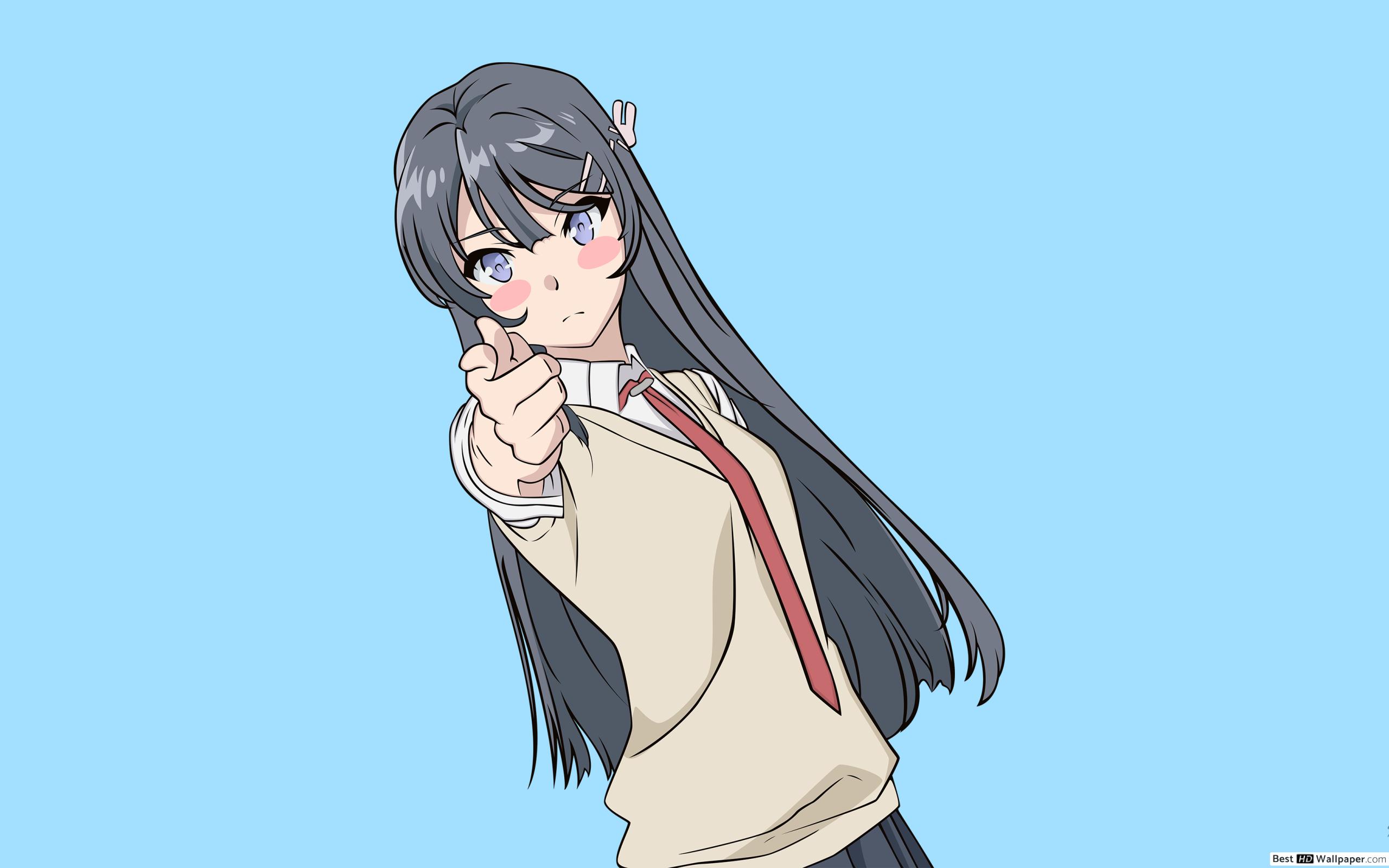 Rascal Does Not Dream Of Bunny Girl Senpai Wallpaper - HD Wallpaper 