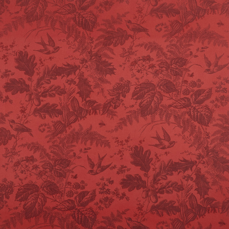 Wallpaper - HD Wallpaper 
