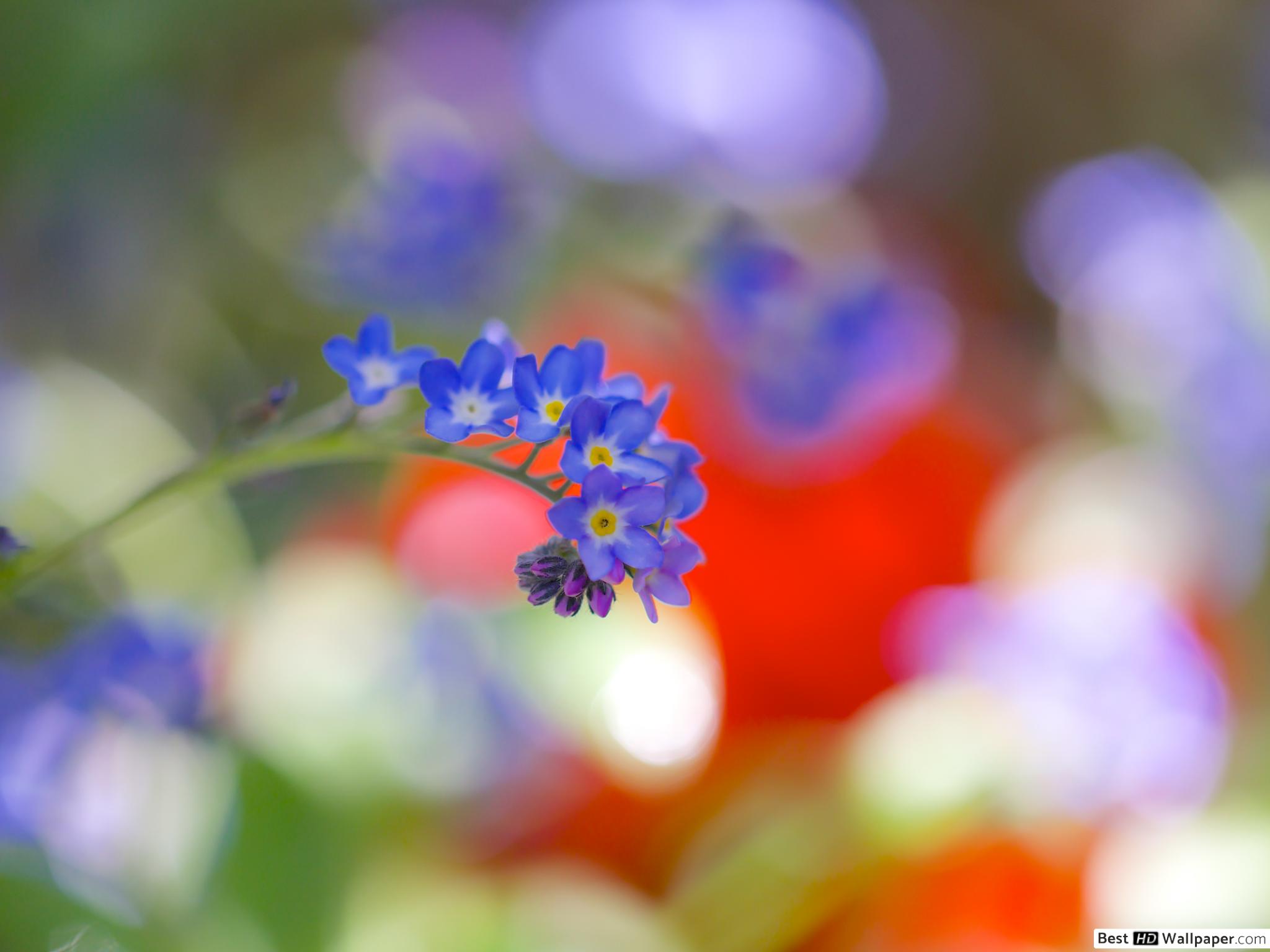 Aspect Ratio - HD Wallpaper 