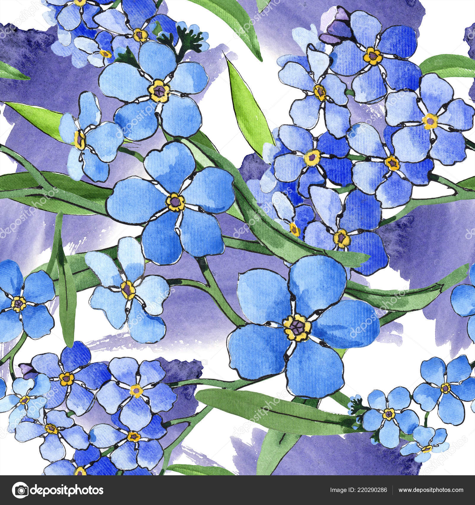 Alpine Forget-me-not - HD Wallpaper 