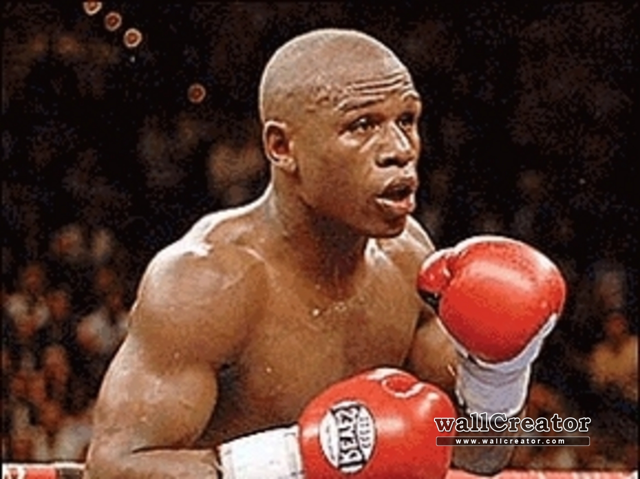 Pretty Boy Floyd - Floyd Mayweather Mexican Outfit - HD Wallpaper 