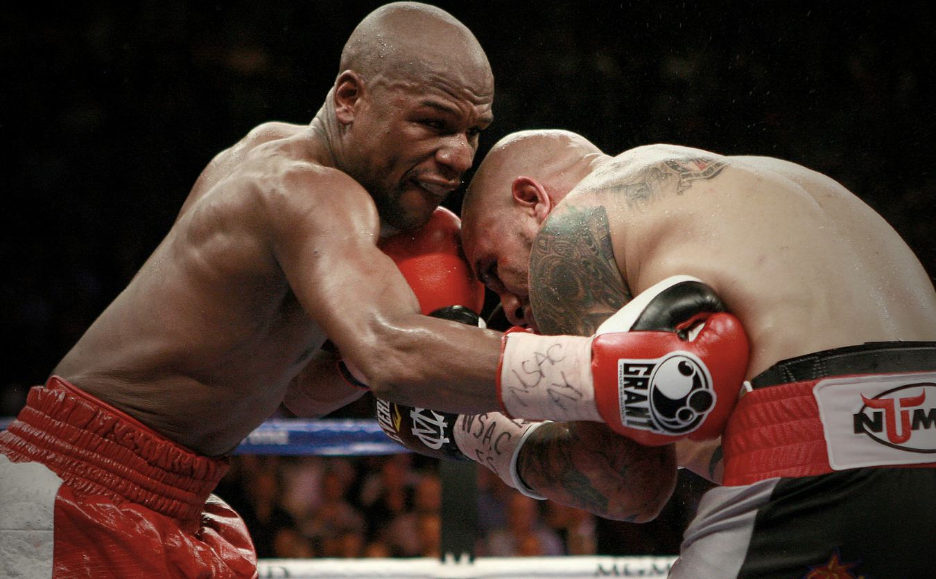 Mayweather Cotto - HD Wallpaper 