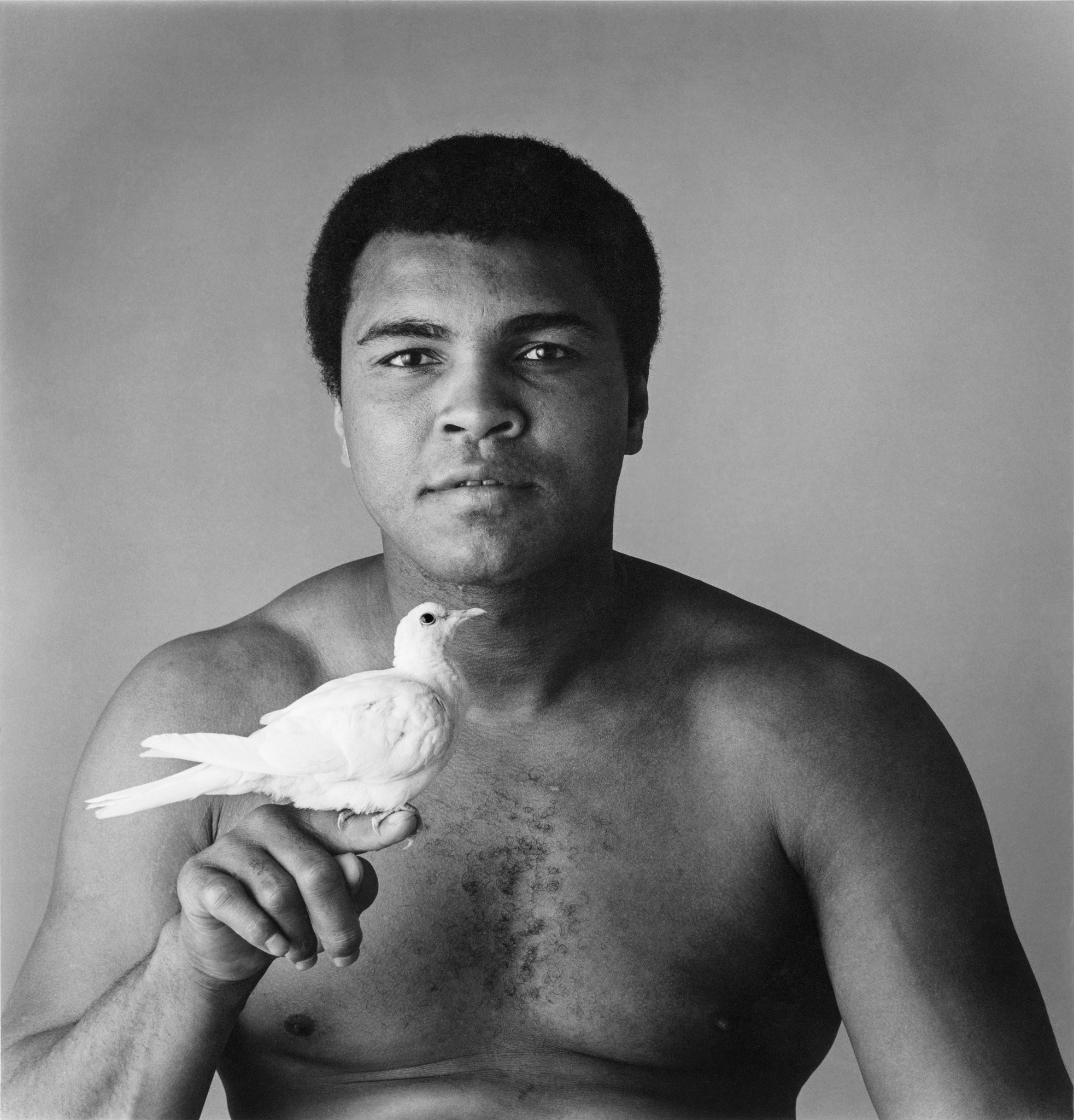Muhammad Ali - Muhammad Ali Portrait - HD Wallpaper 