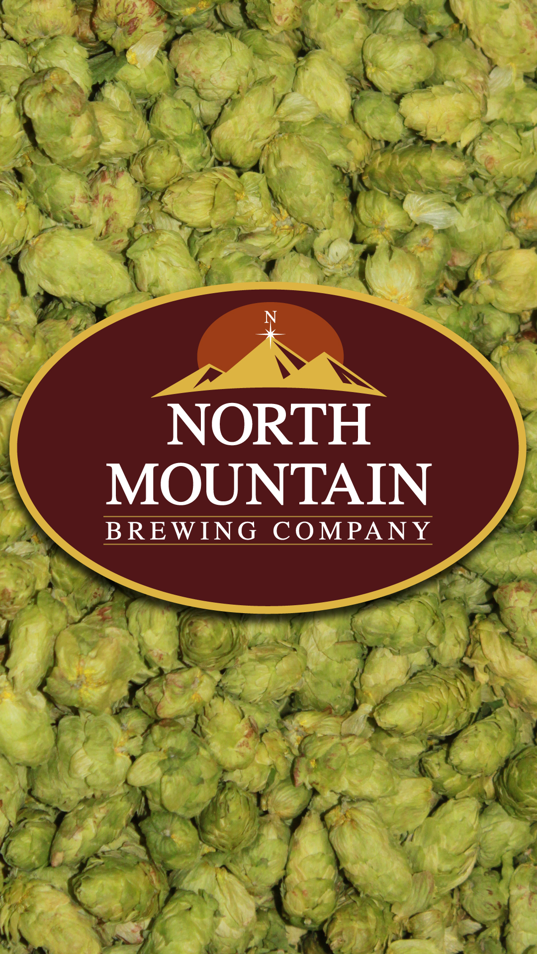 Brussels Sprout - HD Wallpaper 