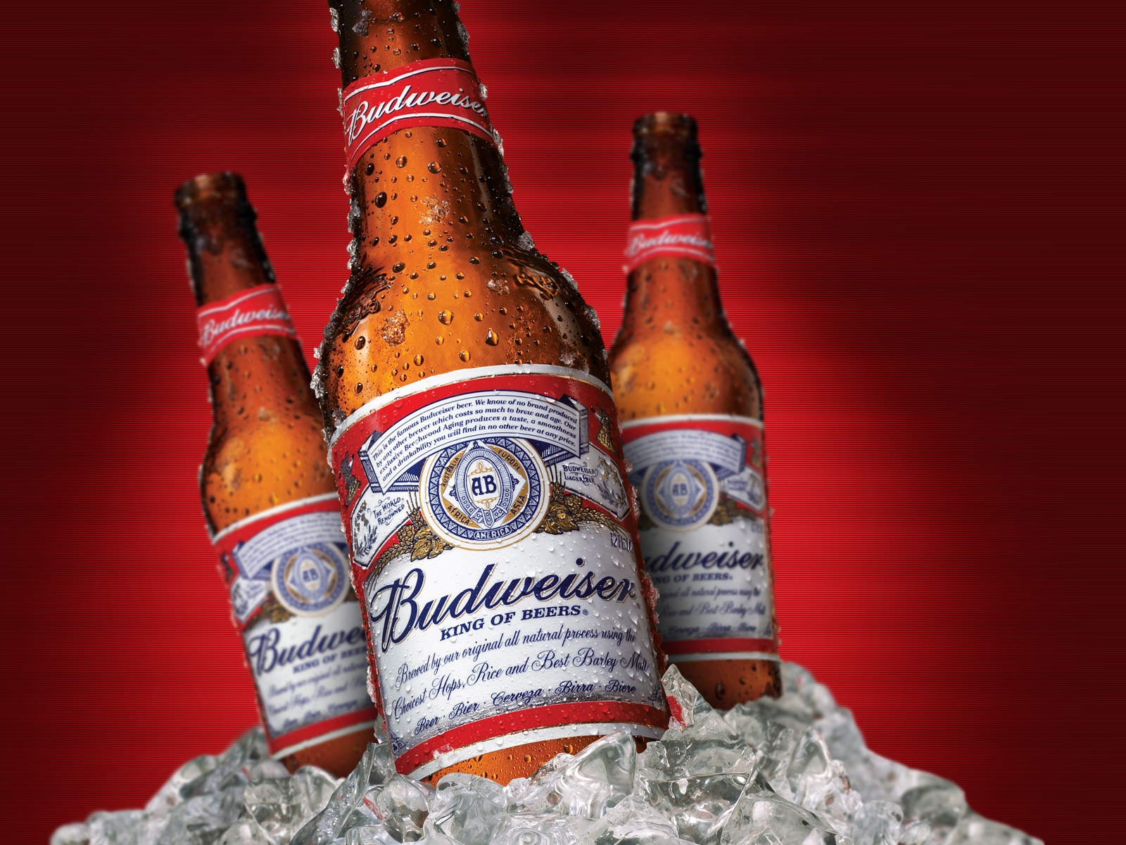 budweiser wallpaper iphone