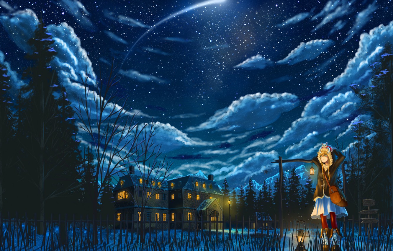 Photo Wallpaper Winter, Cat, Girl, Clouds, Snow, Snowflakes, - Anime At Night Winter - HD Wallpaper 