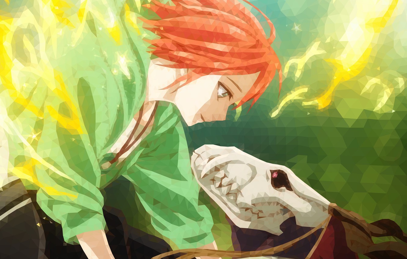 Photo Wallpaper Girl, Triangles, Anime, Art, Fascinator, - Ancient Magus Bride Last Episode - HD Wallpaper 