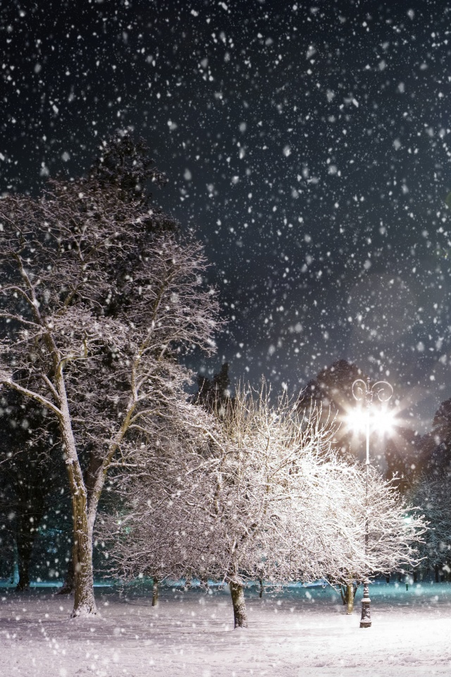 Winter Night Wallpaper Mobile - HD Wallpaper 