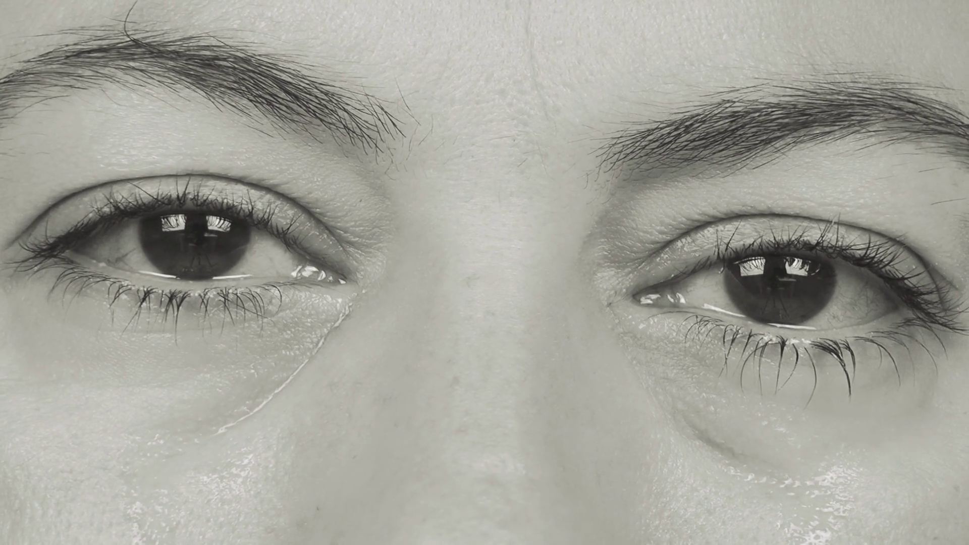 Close-up - HD Wallpaper 