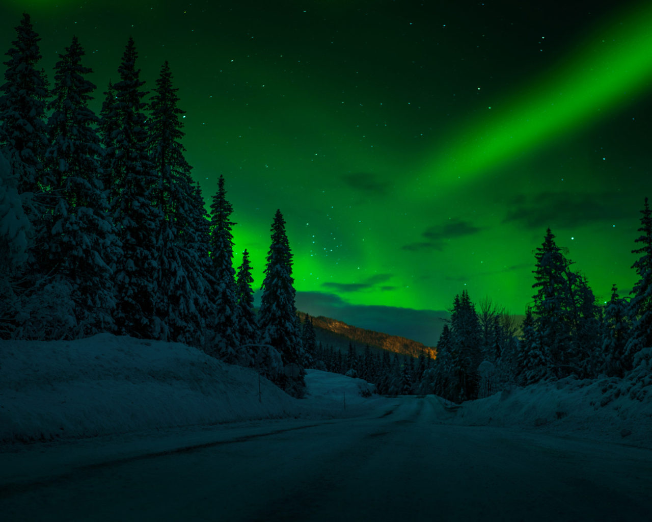 Wallpaper - HD Wallpaper 