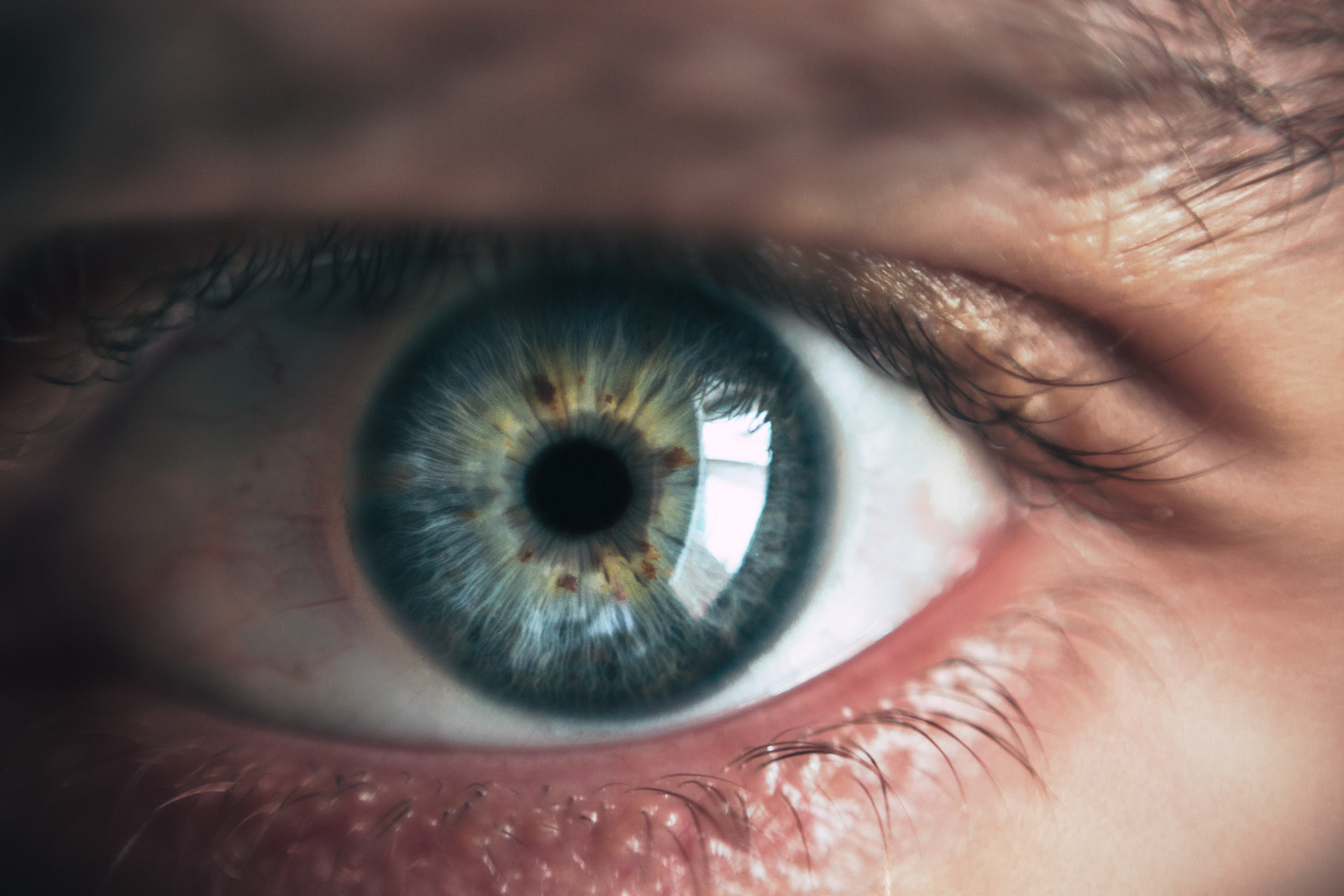 Human Eye Close Up Photography - HD Wallpaper 