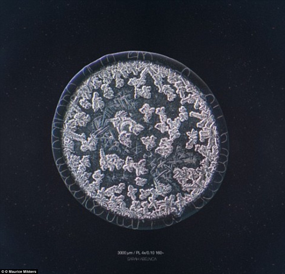 This Tears Was The Result Of Looking Into A Fan For - HD Wallpaper 