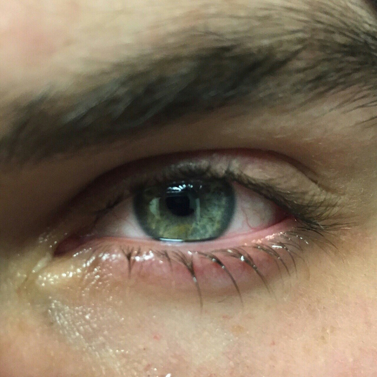 Male Green Eyes Aesthetic - HD Wallpaper 