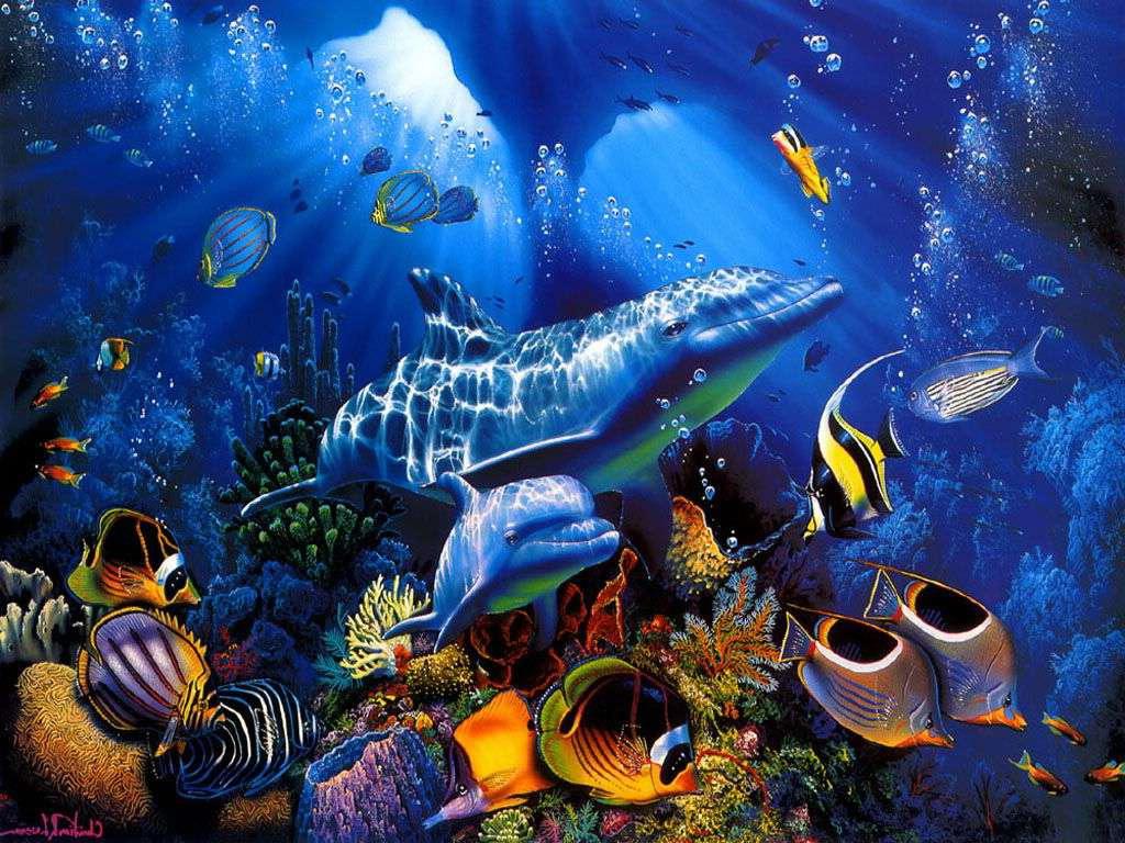 Dolphin Underwater Ocean Wallpaper Download - Christian Riese Lassen - HD Wallpaper 