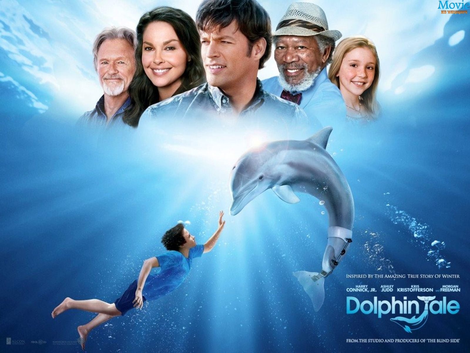 Dolphin Tale 2 Poster - Dolphin Tales - HD Wallpaper 