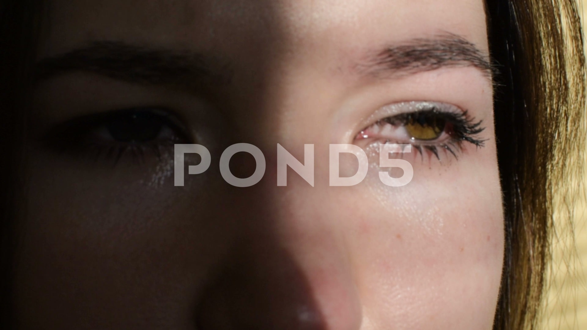 Close-up - HD Wallpaper 