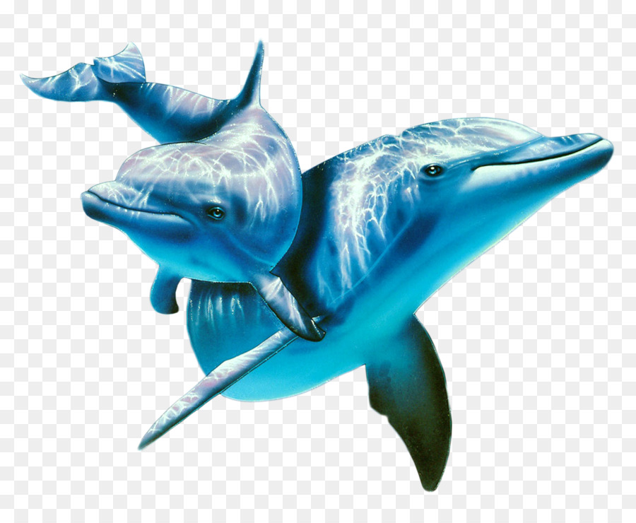 Atlantic Spotted Dolphin Malerei, Tier Wallpaper - HD Wallpaper 