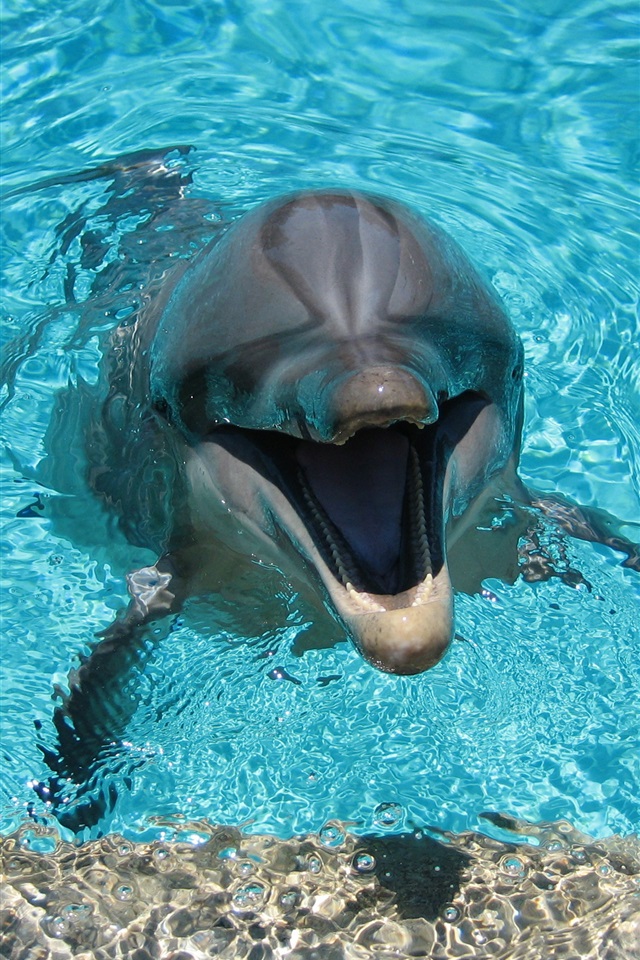 3d Flooring In Kolkata - HD Wallpaper 