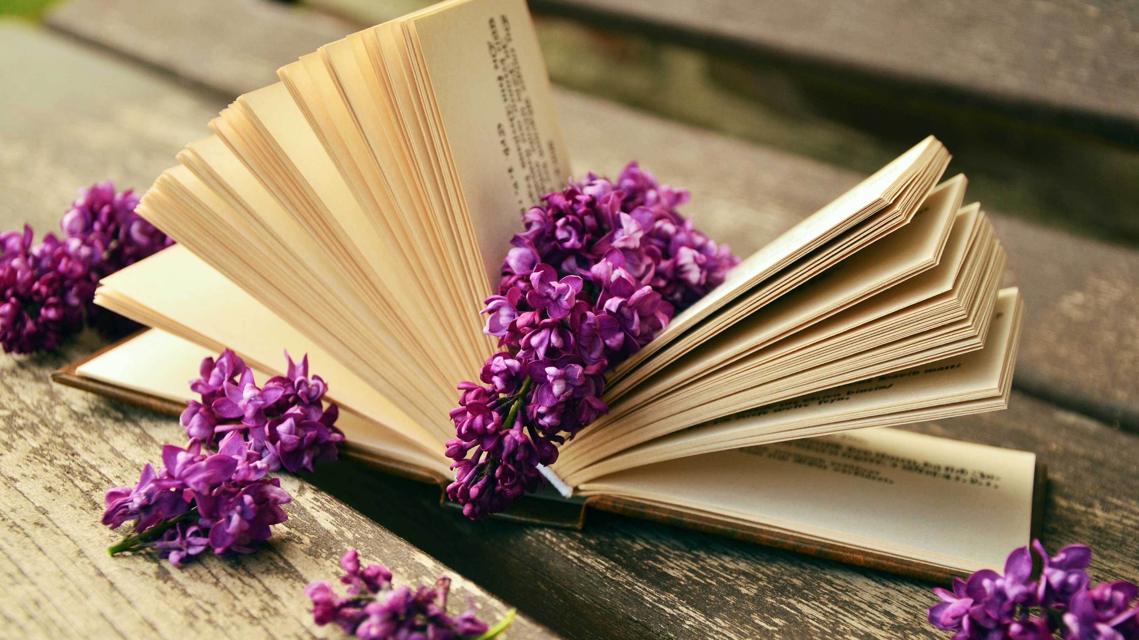 Books Spring - HD Wallpaper 
