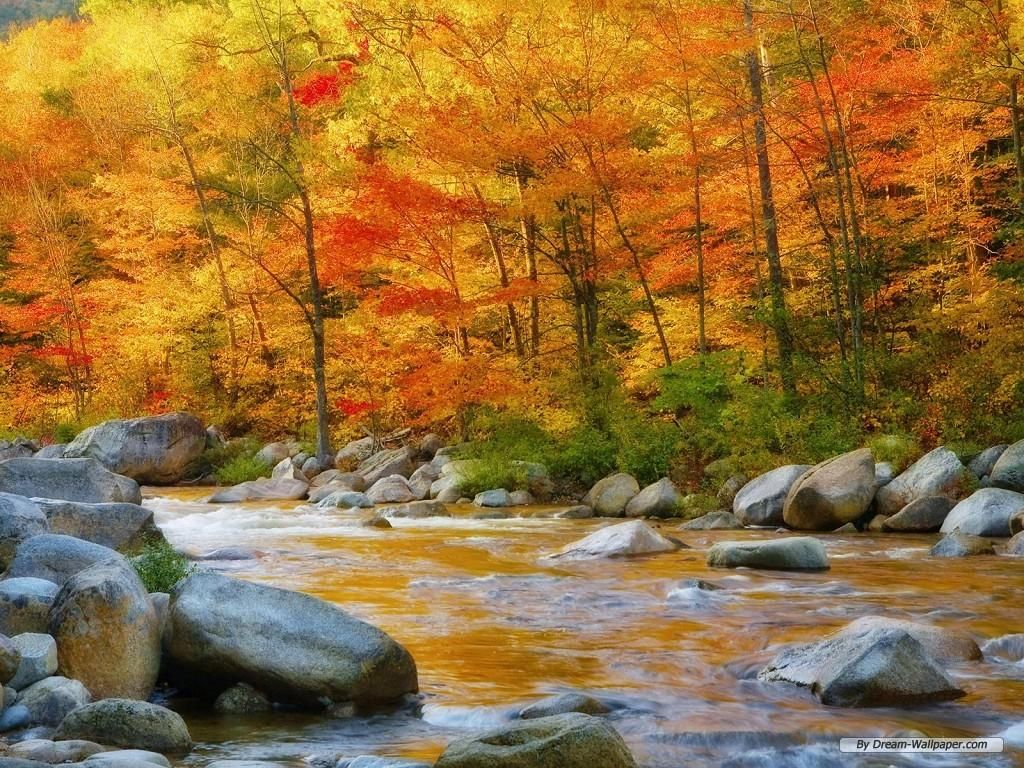 Nature Wallpaper Hd - HD Wallpaper 