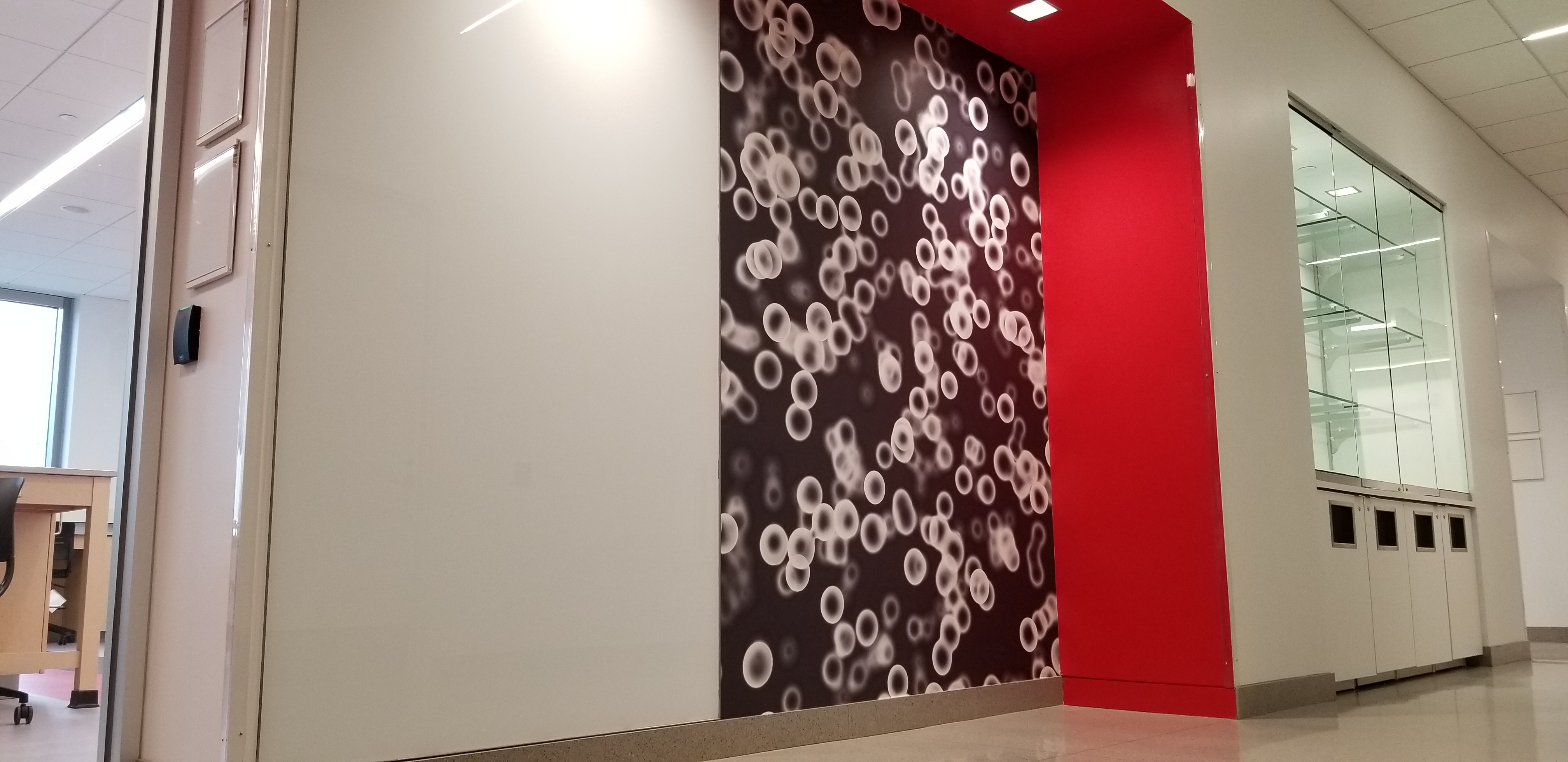 Corporate Installations - Lamar University - Wall - HD Wallpaper 
