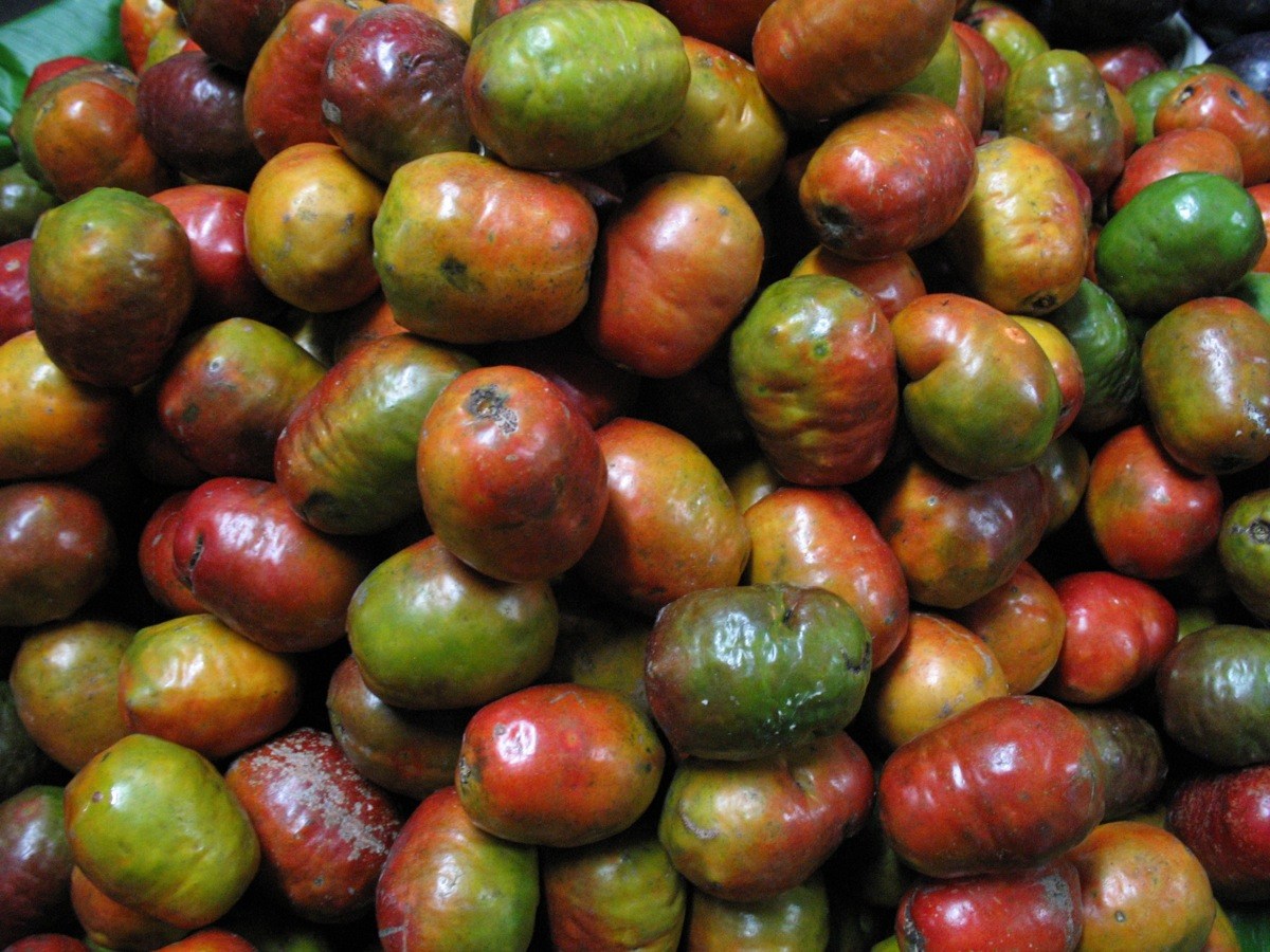Hog Plum Seed Benefits - HD Wallpaper 