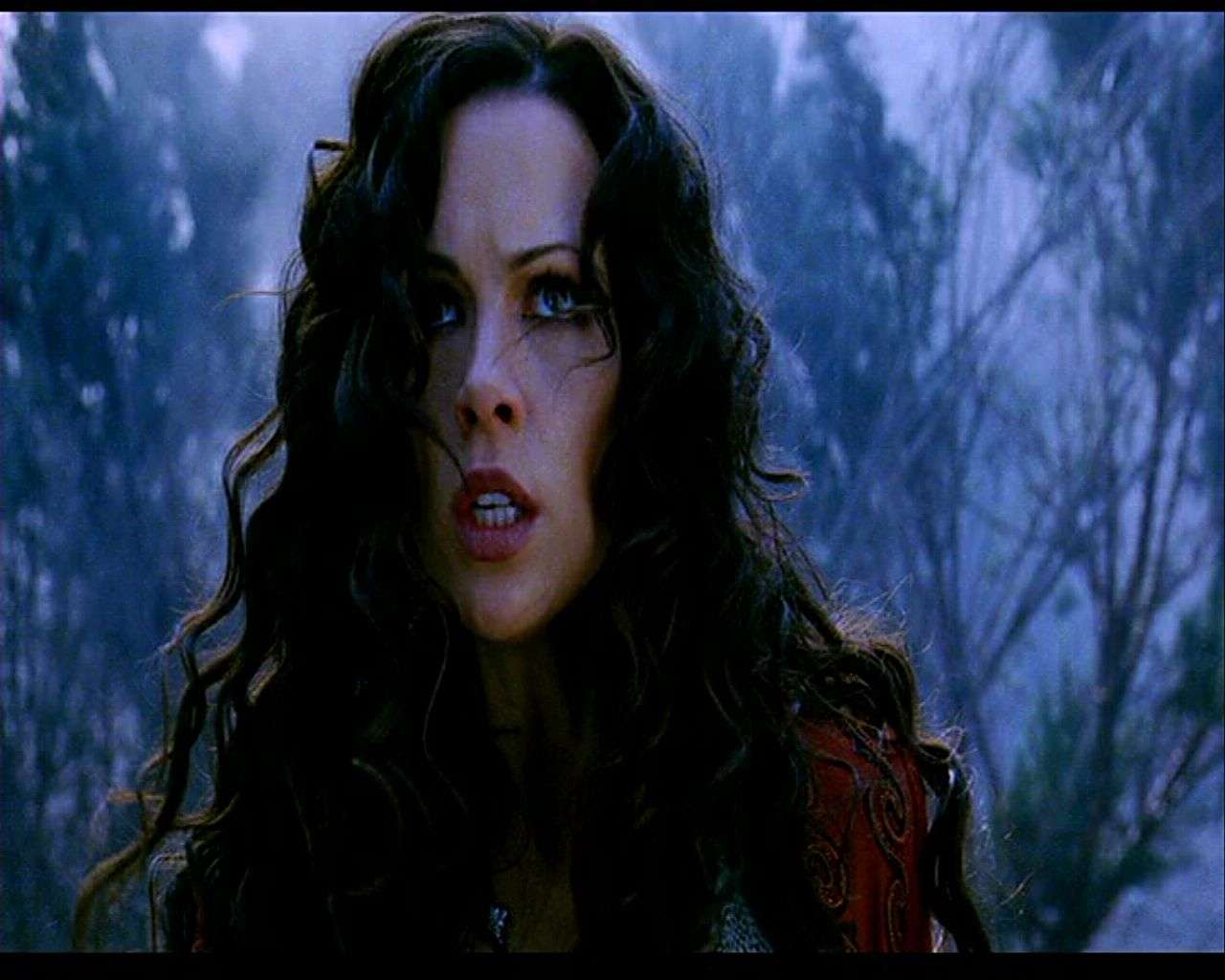 Pc Game - HD Wallpaper 