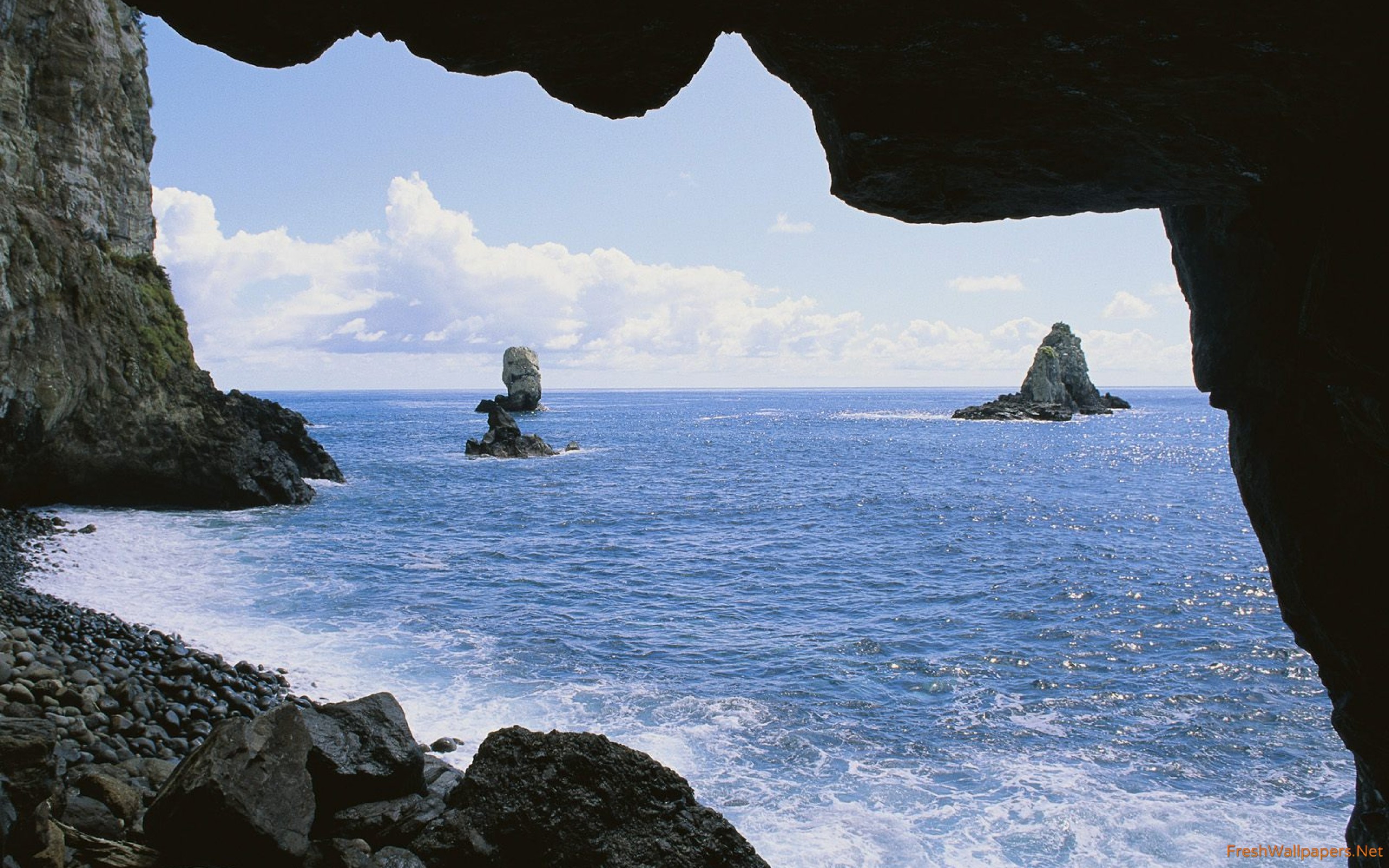 Inside The Sea - HD Wallpaper 