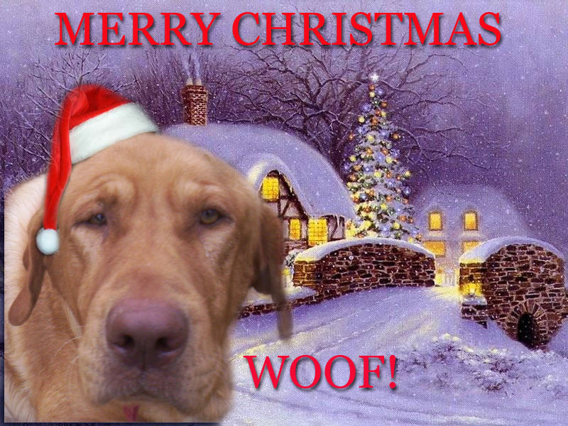 Beautiful Snow Christmas - HD Wallpaper 