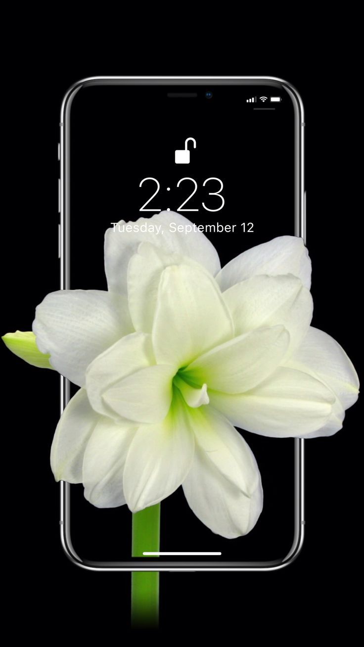 Smartphone - HD Wallpaper 