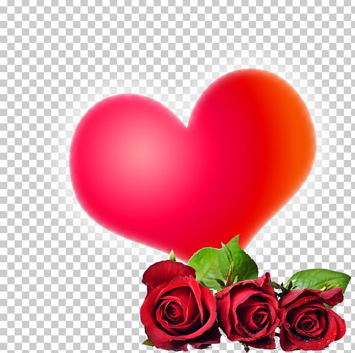 Rose Flower High-definition Video 1080p Png, Clipart, - HD Wallpaper 