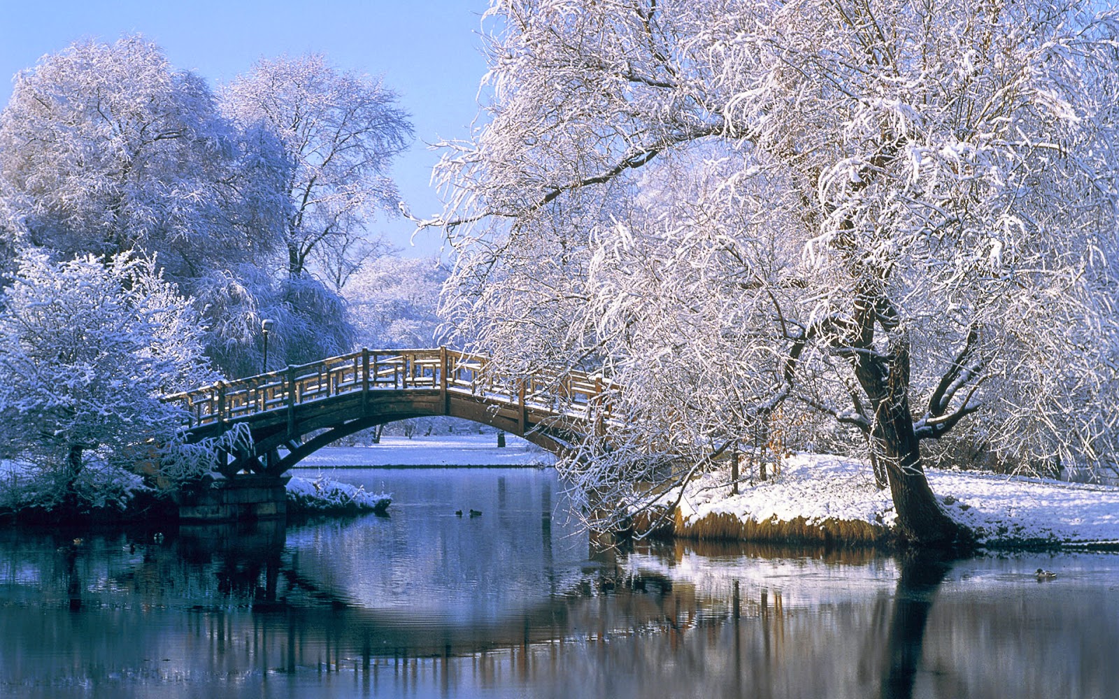 Winter Scenery Wallpaper Free - Winter Background - HD Wallpaper 