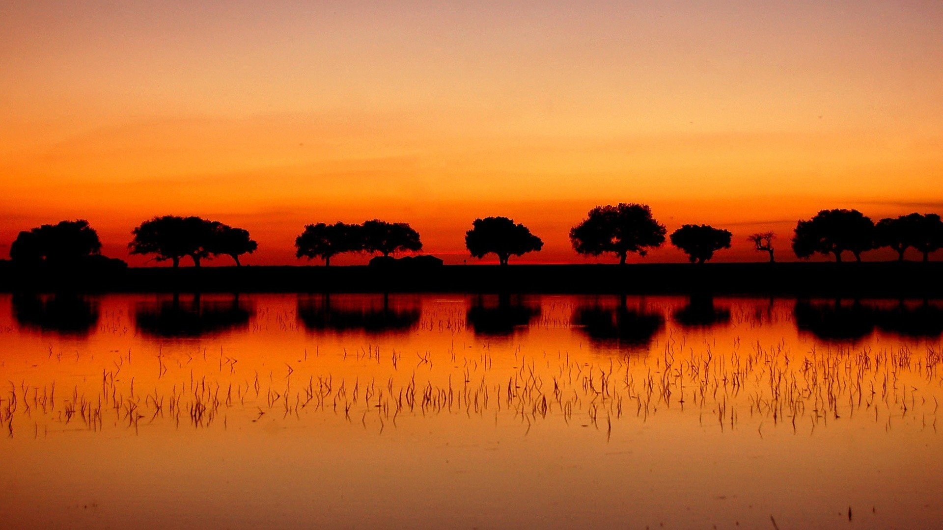 Free Download Scenic Wallpaper Id - Landscape Dawn Silhouette - HD Wallpaper 