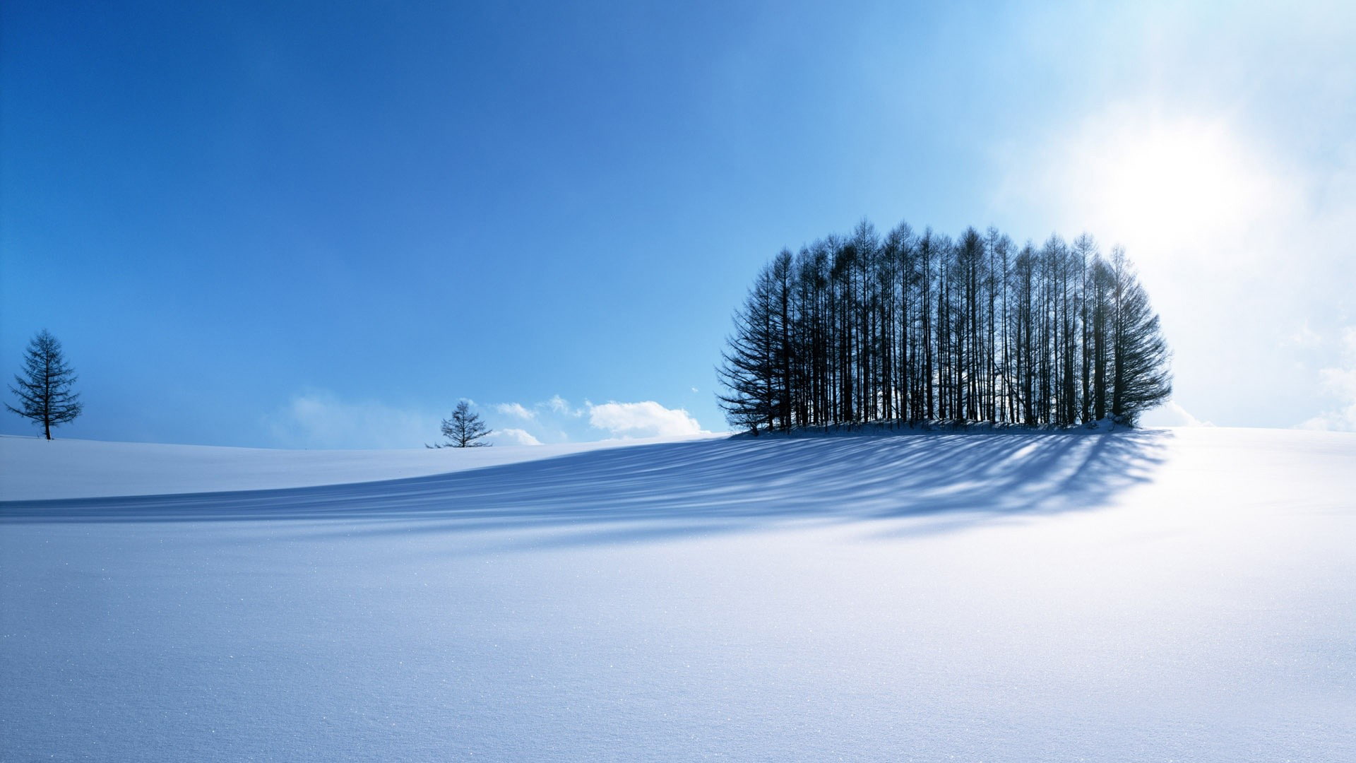 Winter Scene - HD Wallpaper 