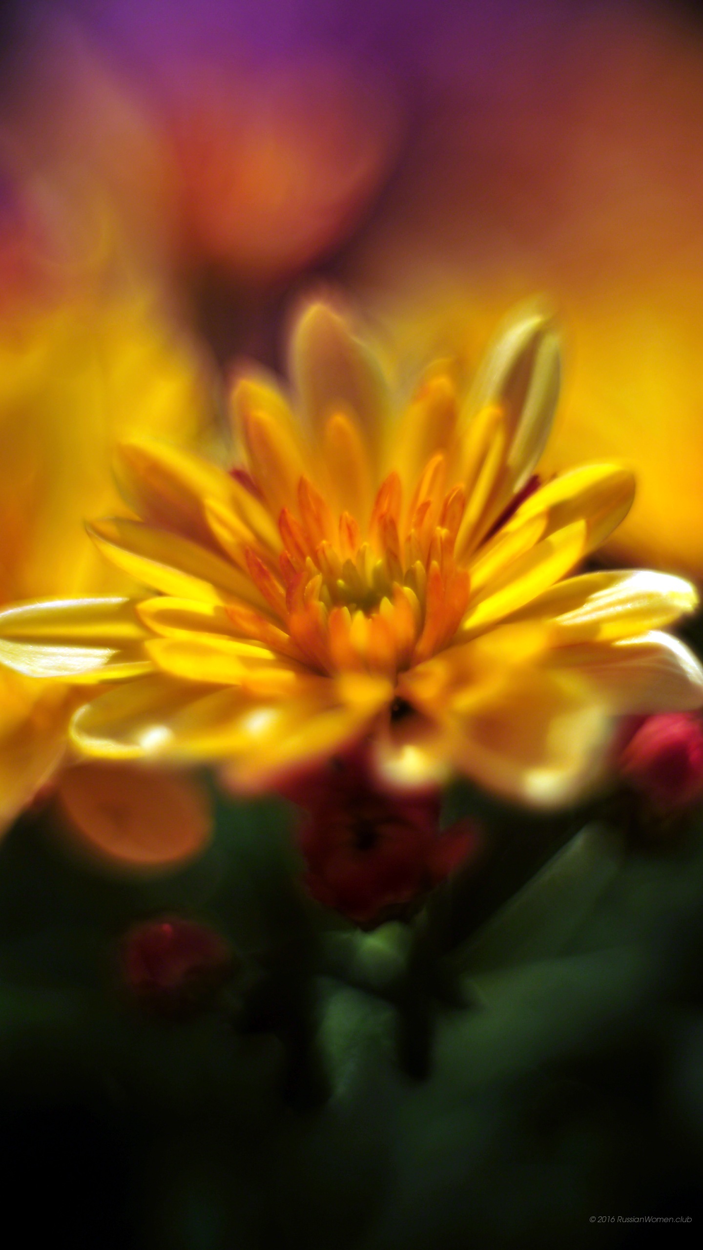 Lg G5 Background - Mobile Phone - HD Wallpaper 