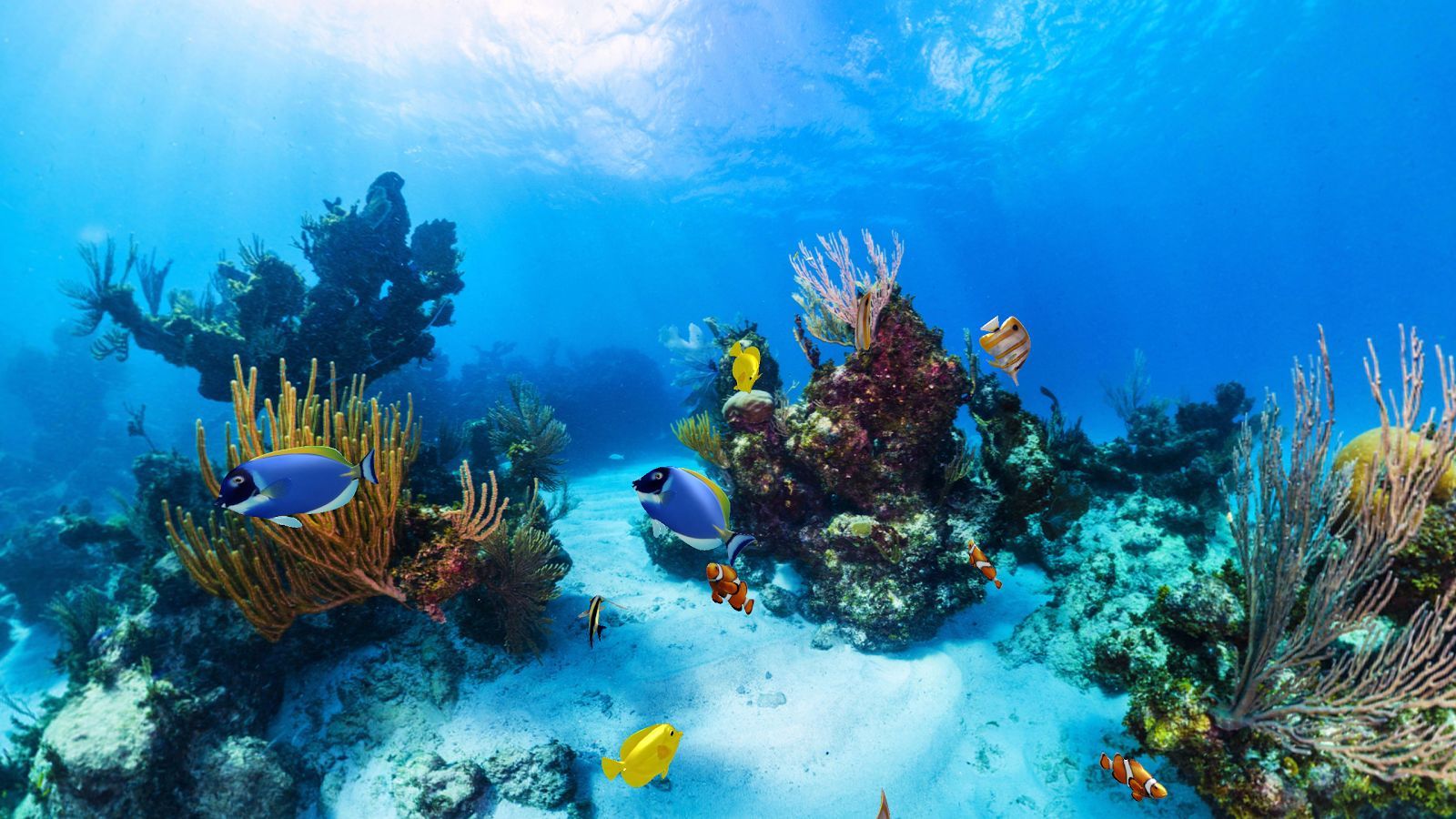 Underwater - HD Wallpaper 