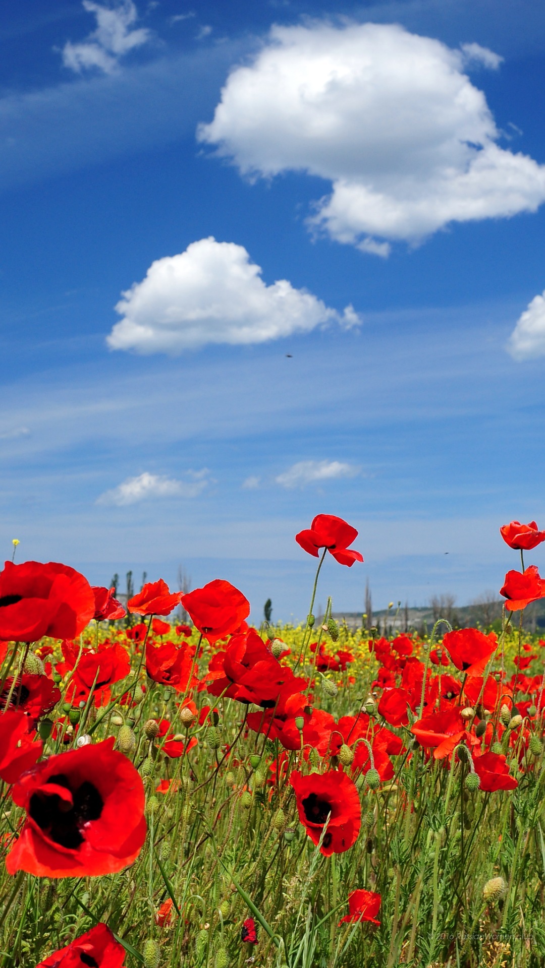 1080 X 1920 Wallpaper Travel - Fond Ecran Samsung Grand Prime - HD Wallpaper 