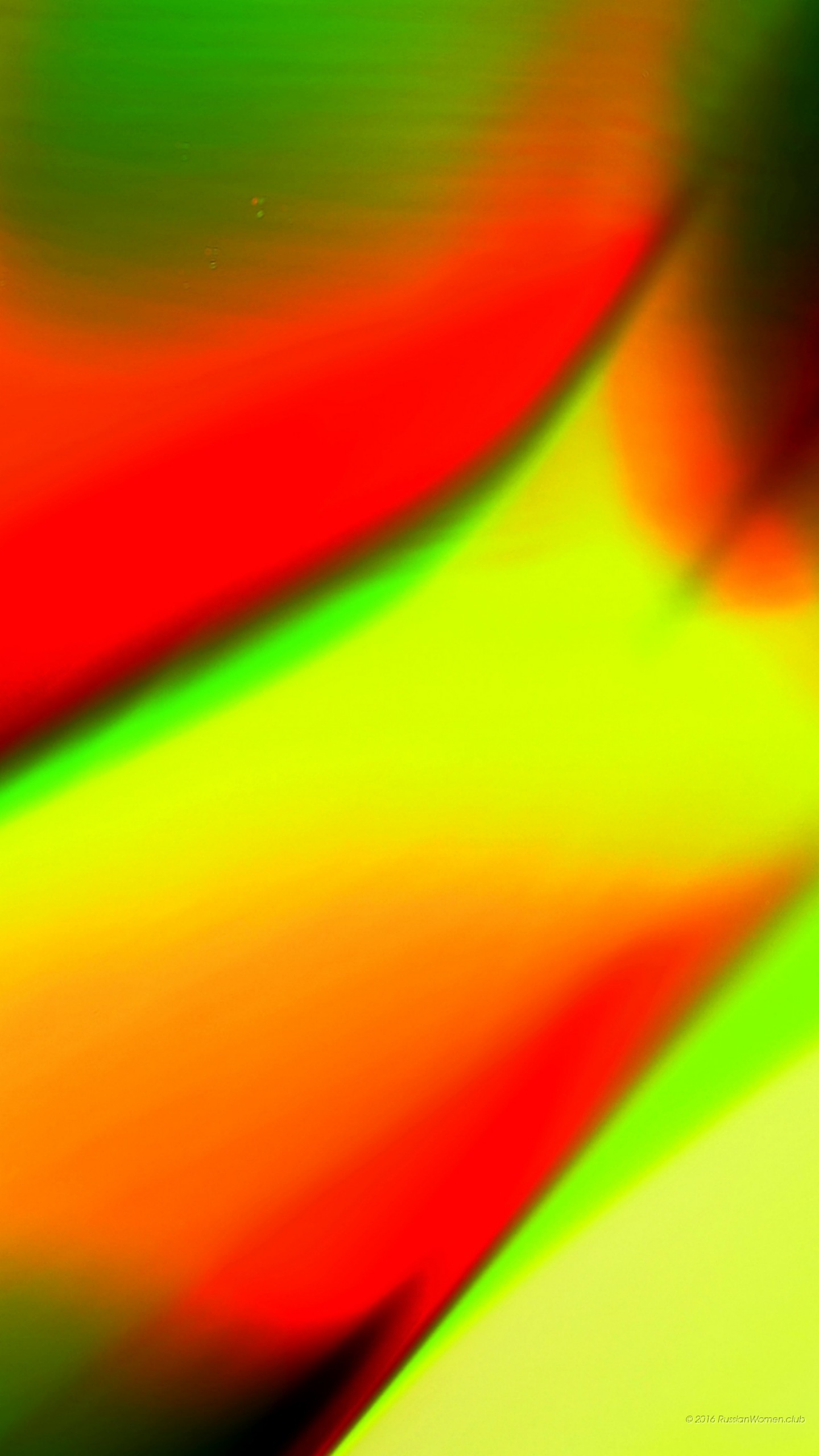 Mobile Backgrounds Free Download - Fond D Écran Pour Oppo F1s - HD Wallpaper 