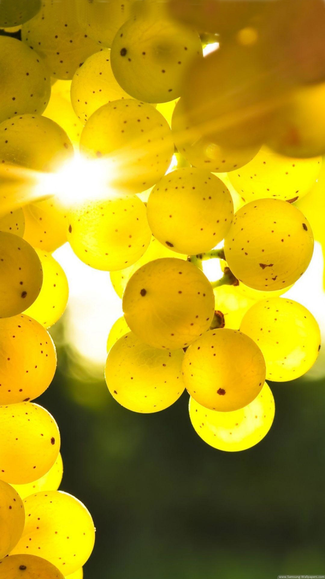 1080ã 1920 Hd Wallpapers For Mobile Phone Sony Lg - Full Hd Wallpaper Yellow Colour - HD Wallpaper 