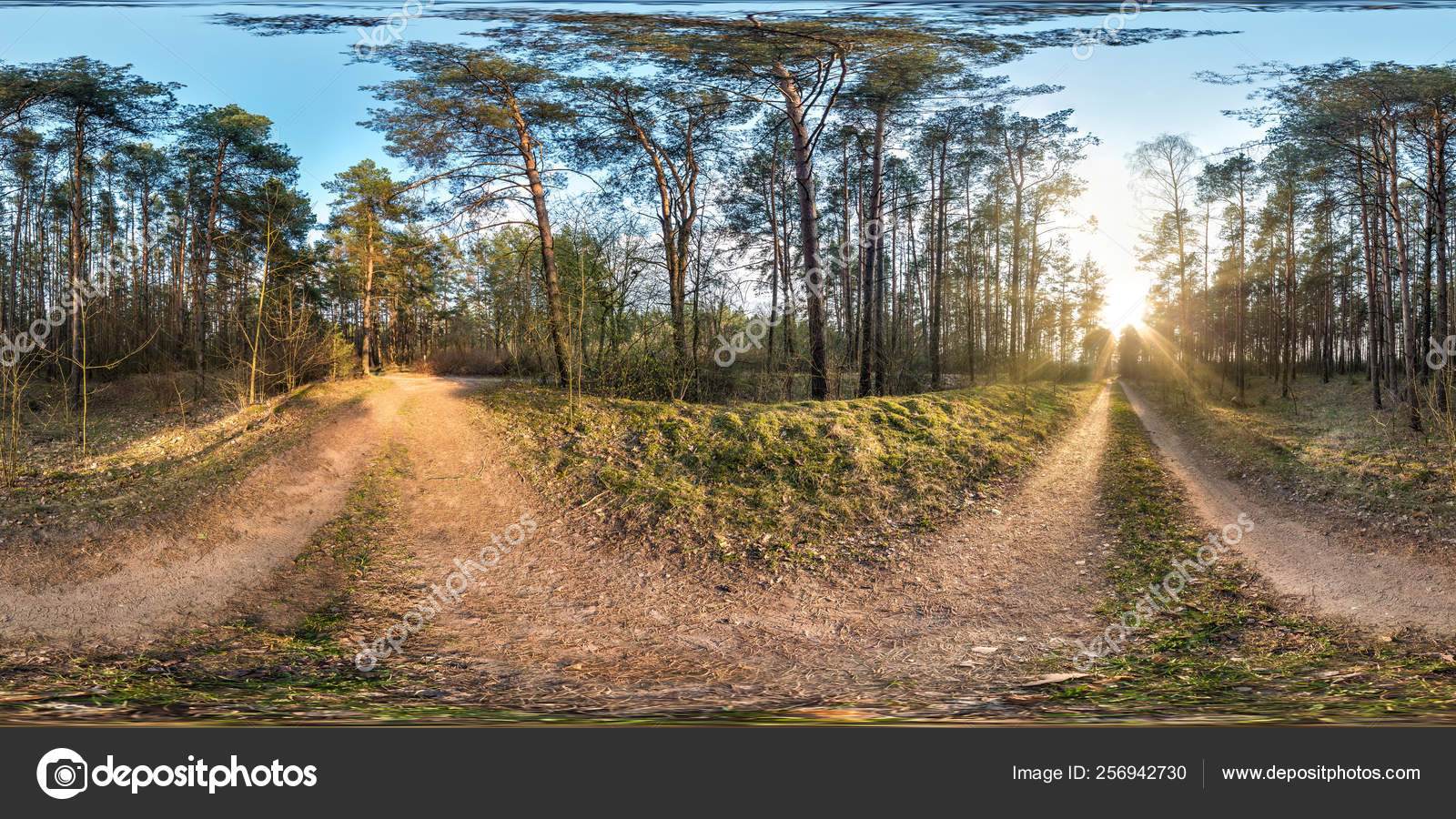 Grove - HD Wallpaper 