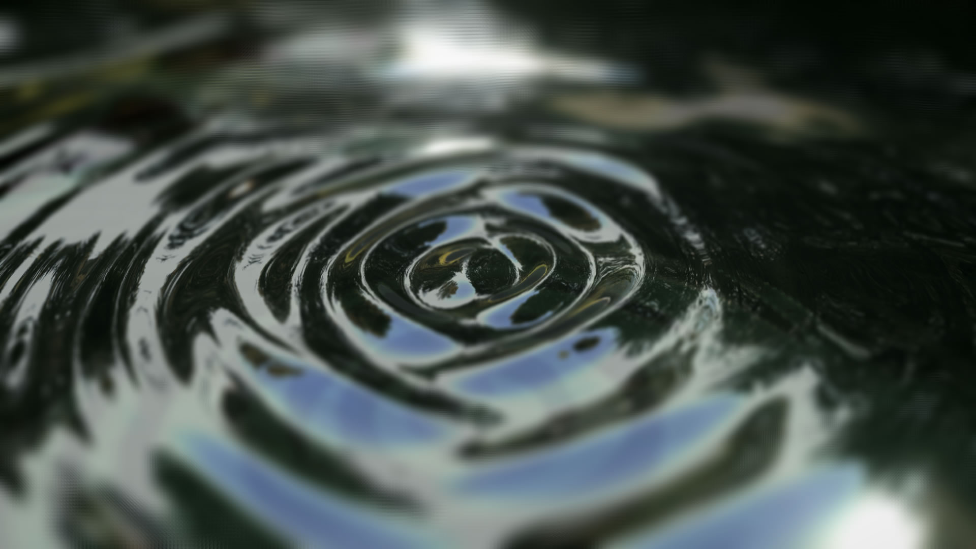 Macro Photography - HD Wallpaper 