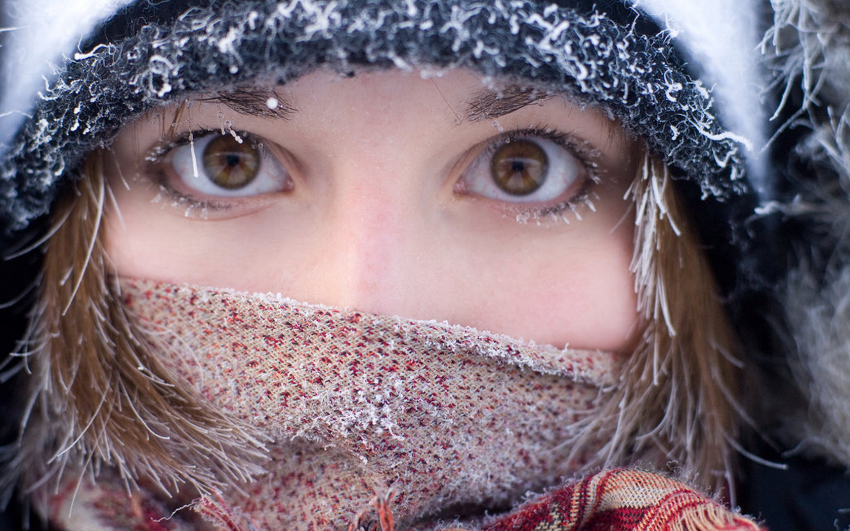 Brown Eyes Wallpaper - HD Wallpaper 