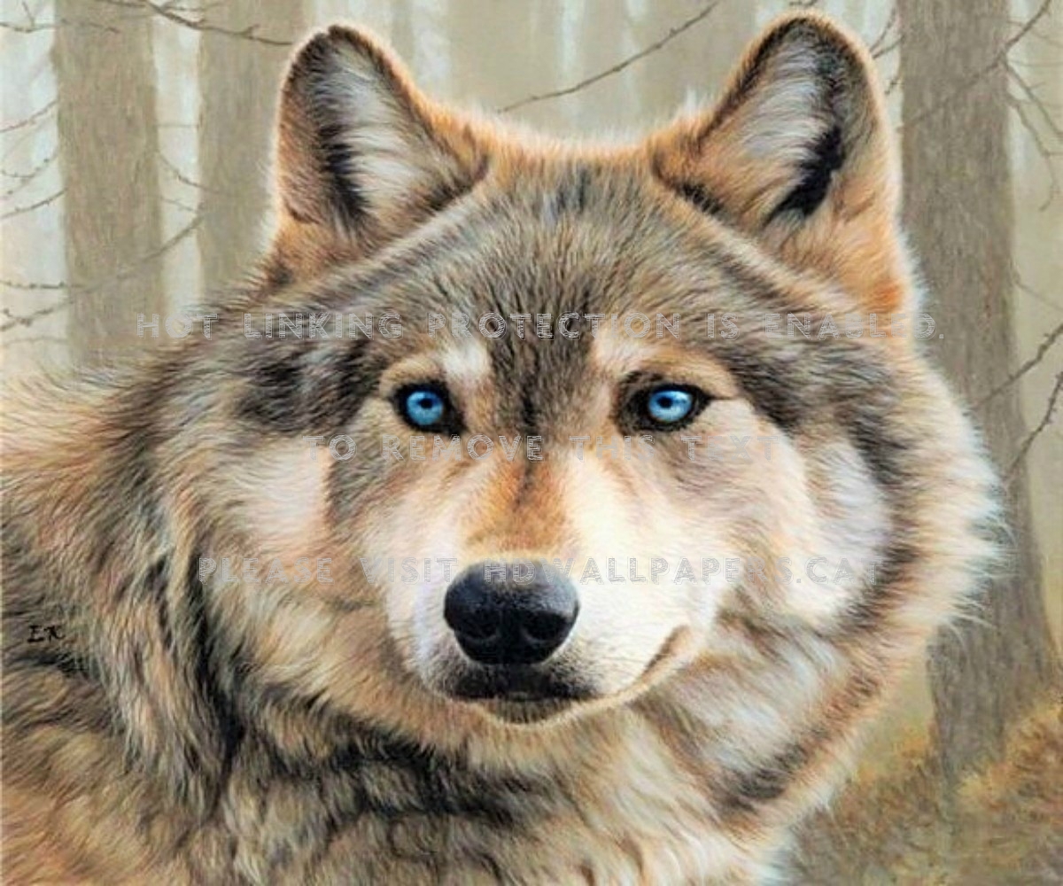 Lone Wolf Eyes Animal Beautiful Wildlife - Acrylic Realistic Wolf Painting - HD Wallpaper 