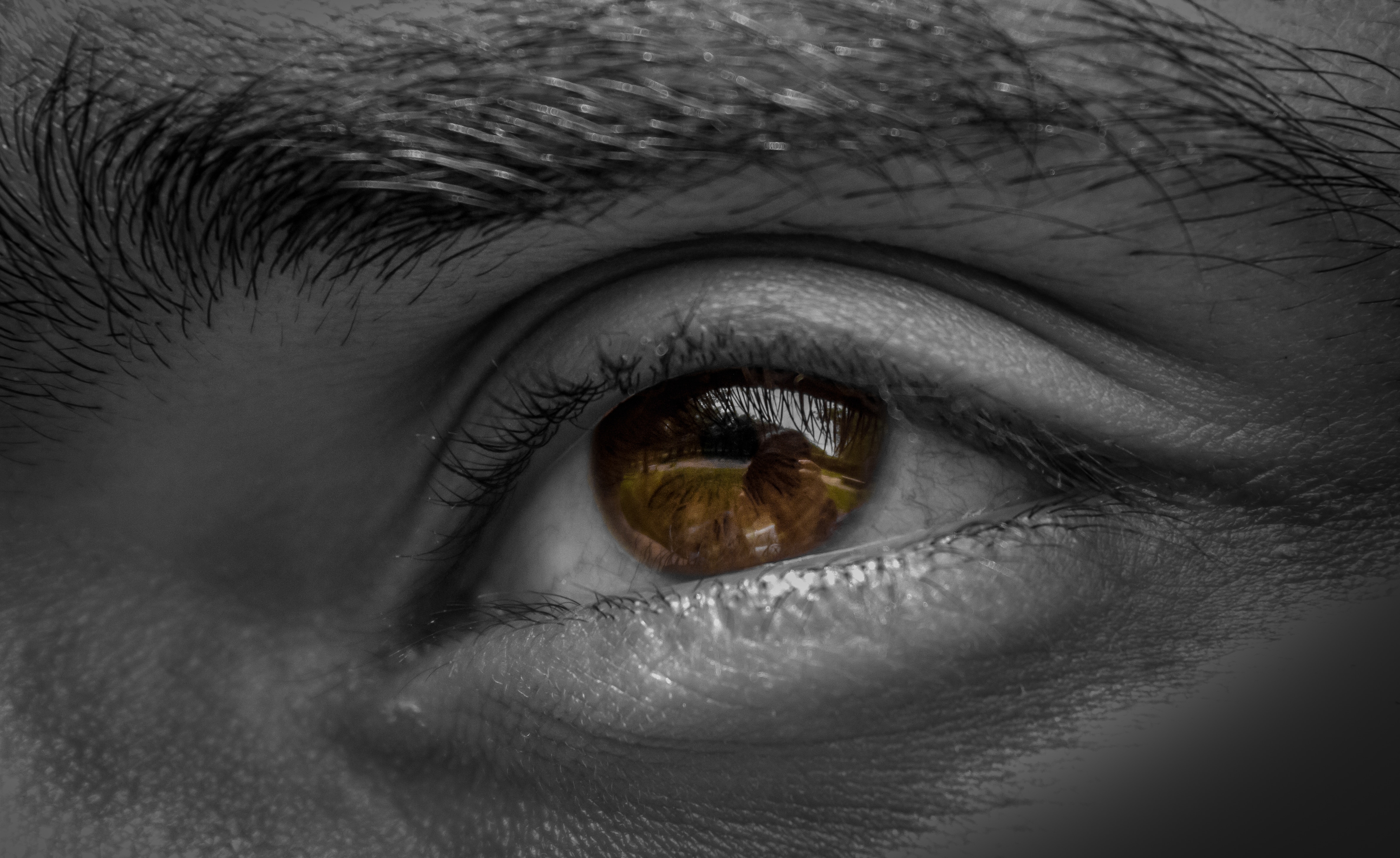 Brown Eyes Black And White - HD Wallpaper 